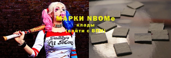 шишки Белокуриха