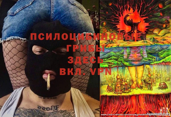 дурь Снежногорск