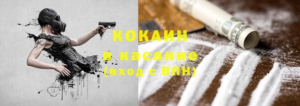 шишки Белокуриха
