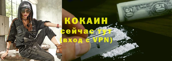 шишки Белокуриха
