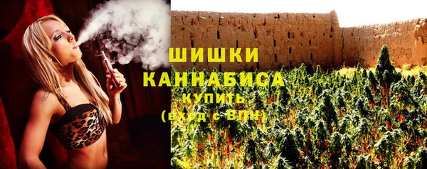 шишки Белокуриха