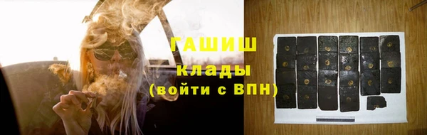 шишки Белокуриха