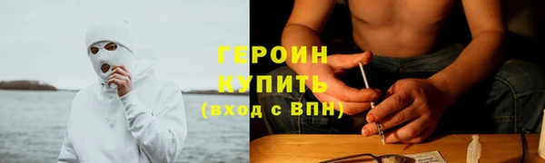 шишки Белокуриха