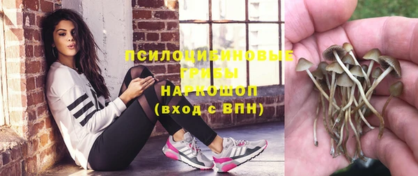 шишки Белокуриха